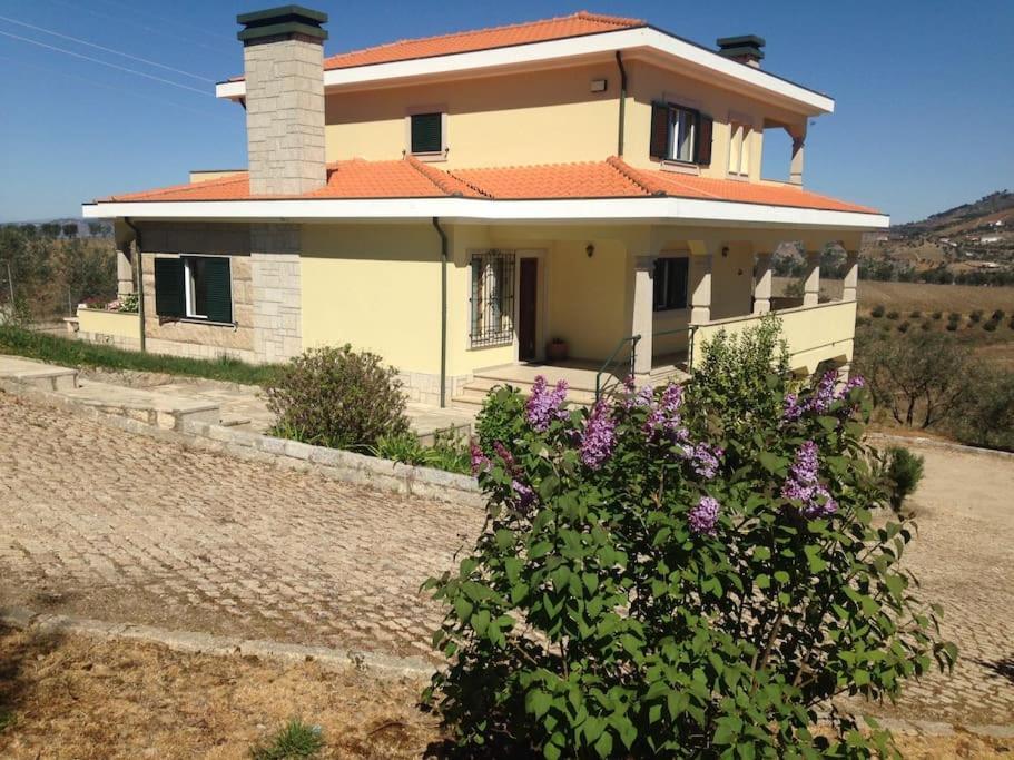 Villa Casa Dos Copins à Lamego Extérieur photo