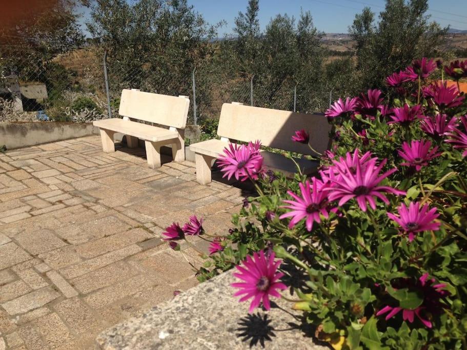 Villa Casa Dos Copins à Lamego Extérieur photo